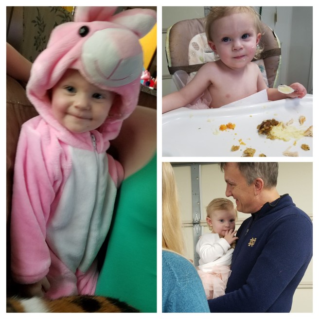 20171028_163843-COLLAGE