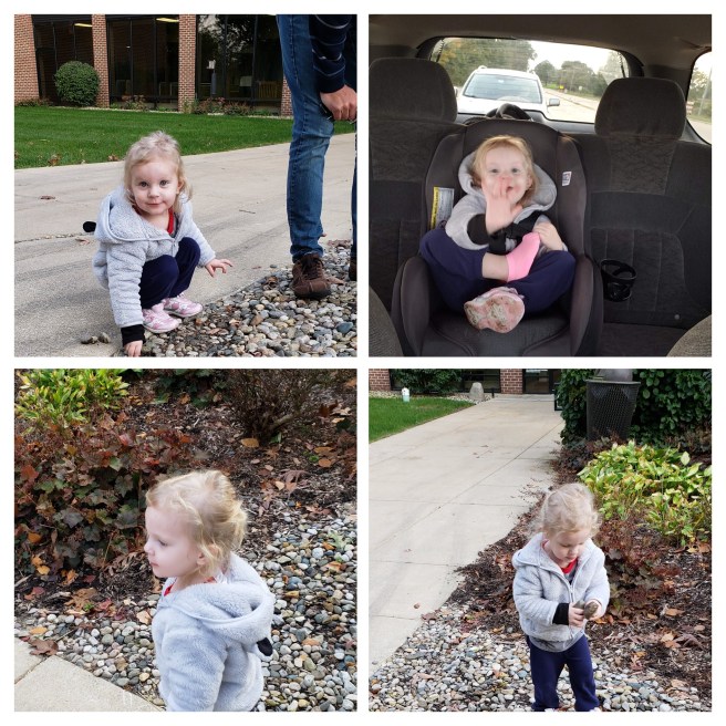 20181013_181359-COLLAGE